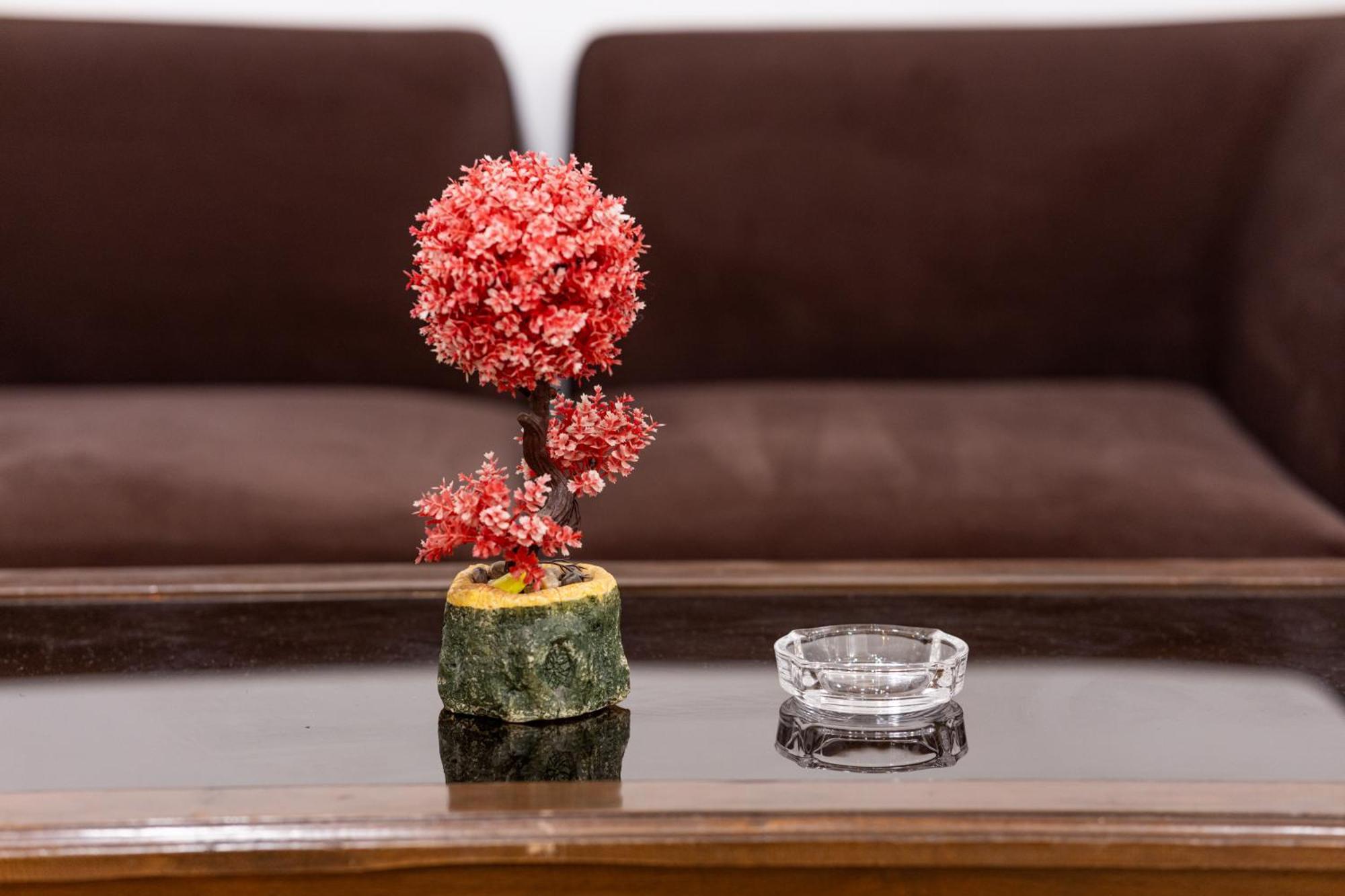 Hotel Cosmo Near Blk Hospital Karol Bagh Delhi  Ngoại thất bức ảnh